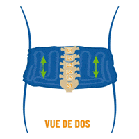 Illustration du nerf sciatique et des zones de douleur associées à une sciatique