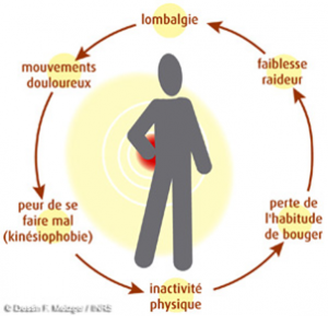 Prévention de Lombalgie – Soulager mal de dos